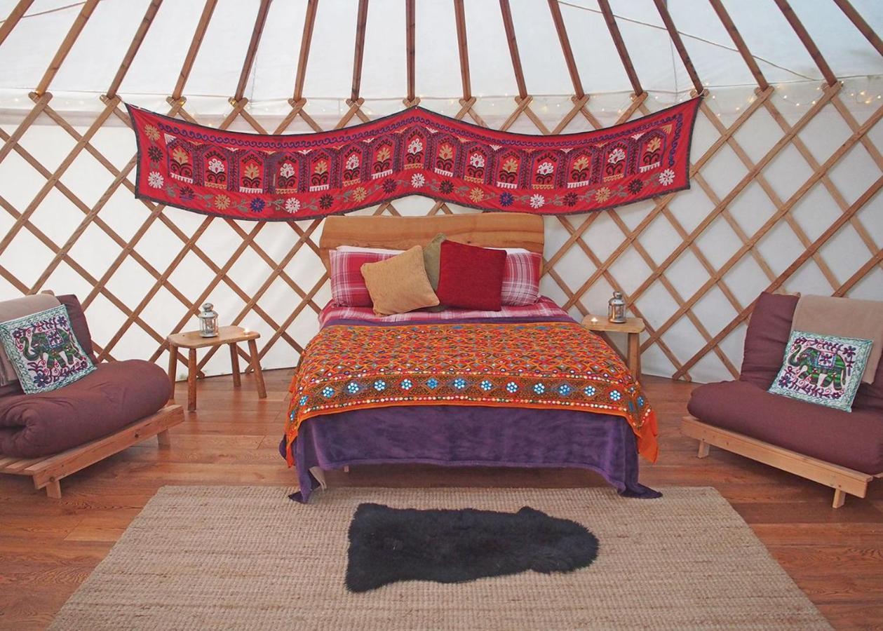 Florence Springs Glamping Gumfreston Exterior photo